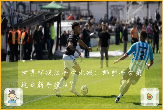 世界杯投注平台比较：哪些平台更适合新手投注？