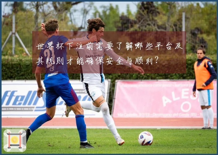 世界杯下注前需要了解哪些平台及其规则才能确保安全与顺利？