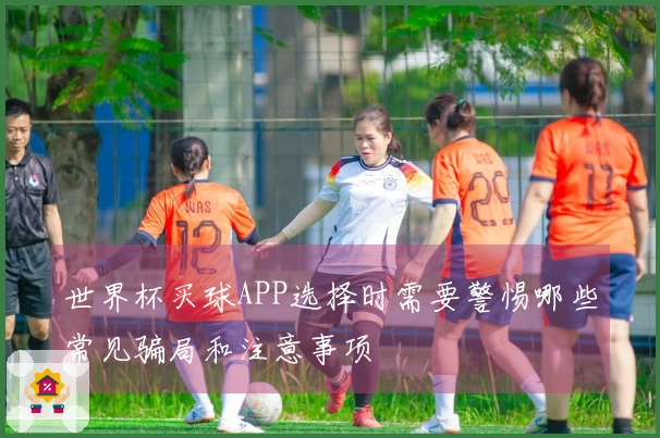 世界杯买球APP选择时需要警惕哪些常见骗局和注意事项