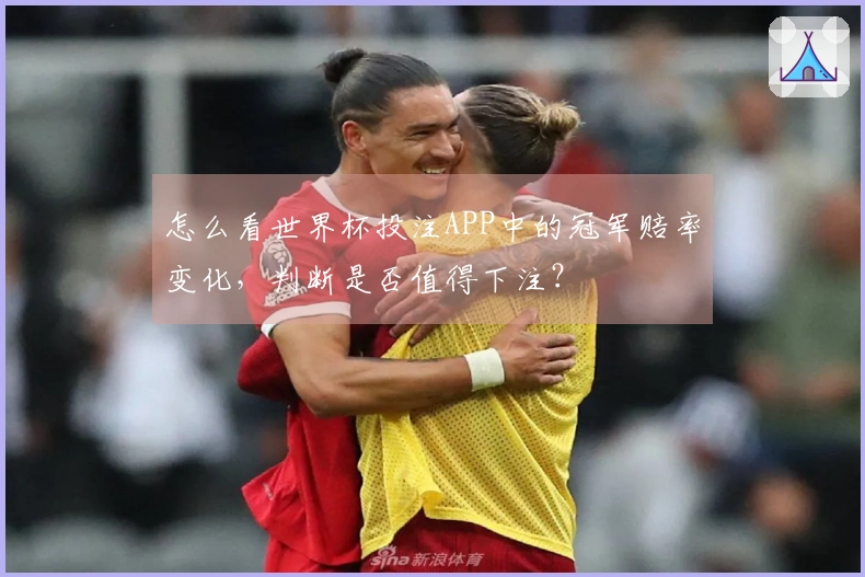 怎么看世界杯投注APP中的冠军赔率变化，判断是否值得下注？