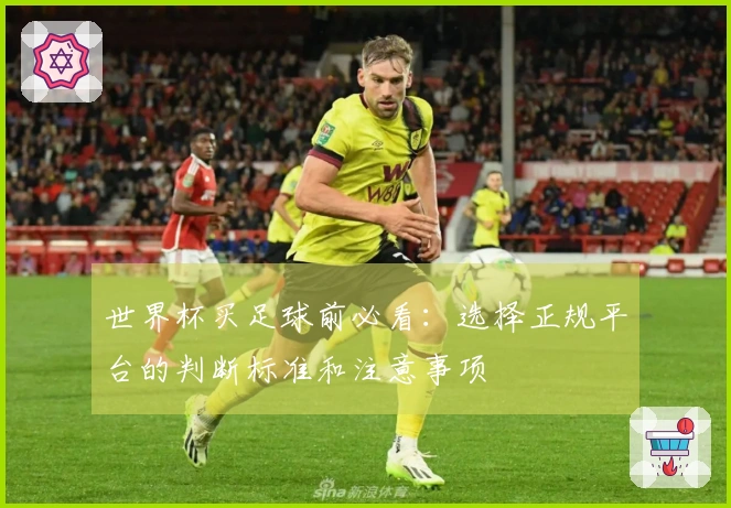 世界杯买足球前必看：选择正规平台的判断标准和注意事项