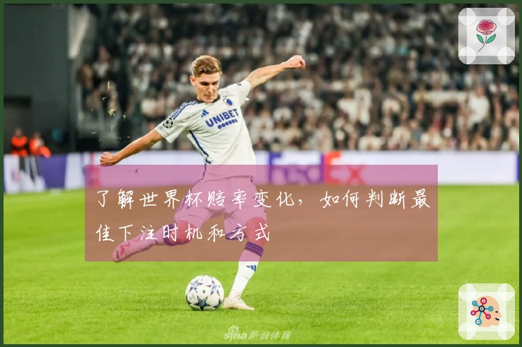了解世界杯赔率变化，如何判断最佳下注时机和方式