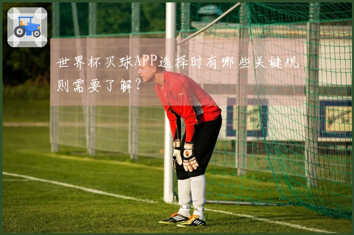 世界杯买球APP选择时有哪些关键规则需要了解？
