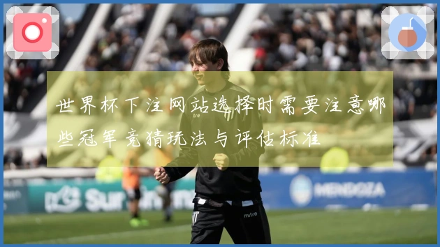 世界杯下注网站选择时需要注意哪些冠军竞猜玩法与评估标准