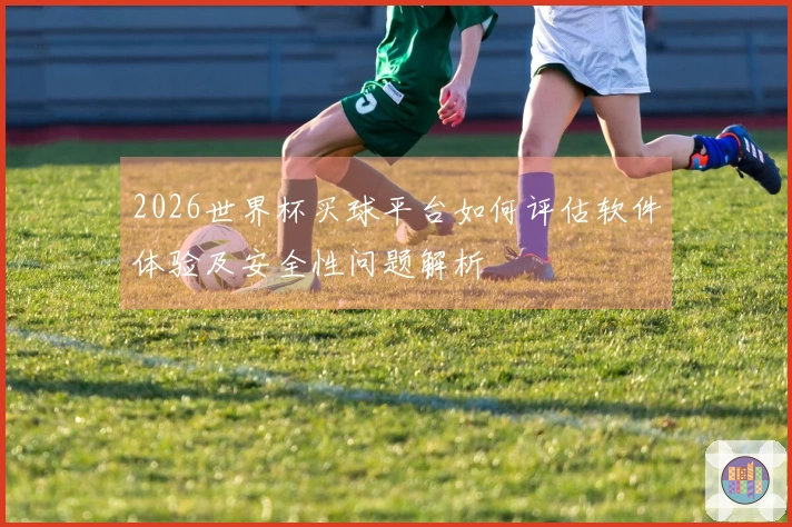 2026世界杯买球平台如何评估软件体验及安全性问题解析