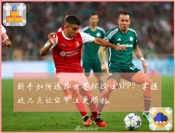 新手如何选择世界杯投注APP？掌握这几点让你下注更顺利