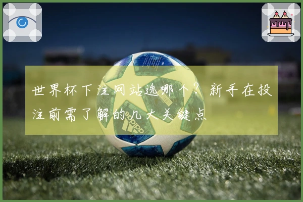 世界杯下注网站选哪个？新手在投注前需了解的几大关键点