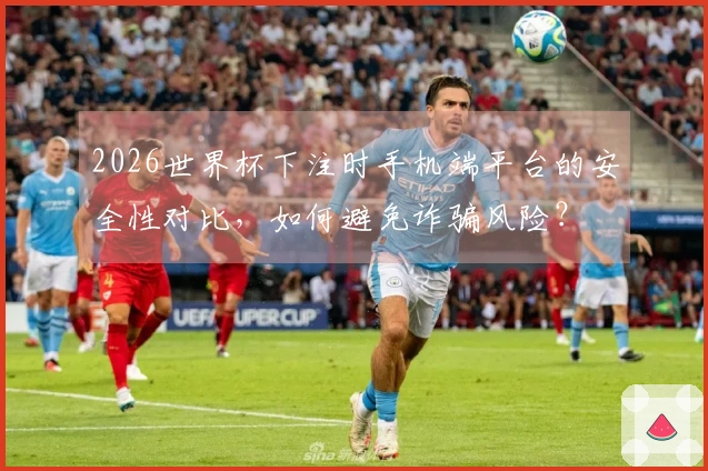 2026世界杯下注时手机端平台的安全性对比，如何避免诈骗风险？