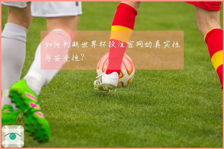 如何判断世界杯投注官网的真实性与安全性？
