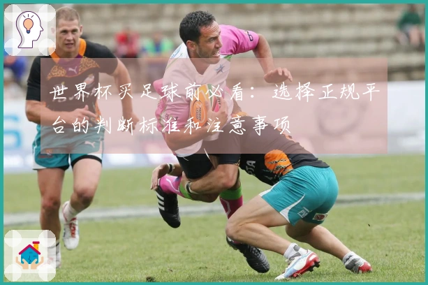 世界杯买足球前必看：选择正规平台的判断标准和注意事项
