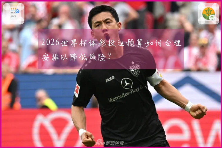 2026世界杯体彩投注预算如何合理安排以降低风险？