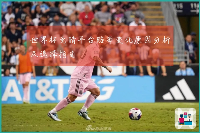 世界杯竞猜平台赔率变化原因分析及选择指南