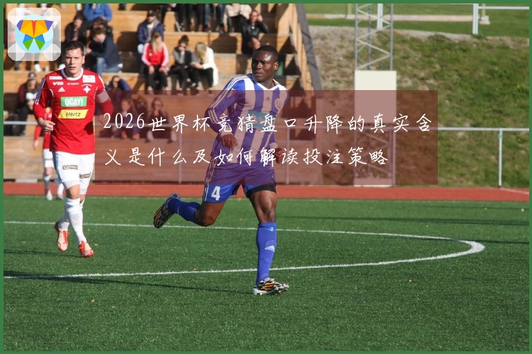 2026世界杯竞猜盘口升降的真实含义是什么及如何解读投注策略