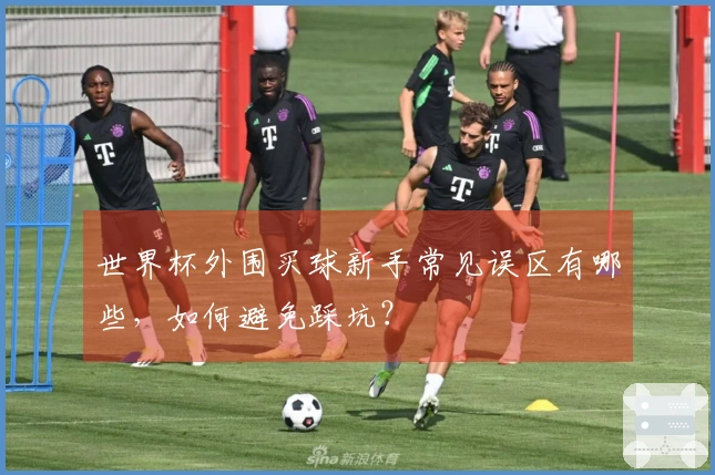 世界杯外围买球新手常见误区有哪些，如何避免踩坑？