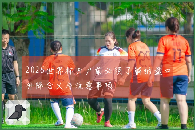 2026世界杯开户前必须了解的盘口升降含义与注意事项