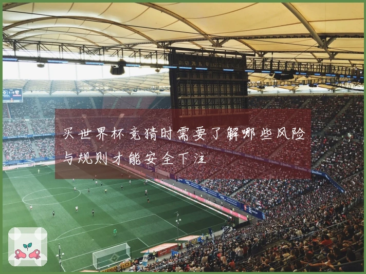 买世界杯竞猜时需要了解哪些风险与规则才能安全下注