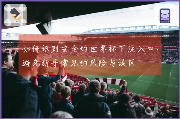 如何识别安全的世界杯下注入口，避免新手常见的风险与误区