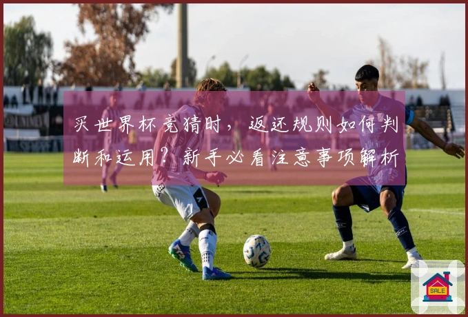 买世界杯竞猜时，返还规则如何判断和运用？新手必看注意事项解析
