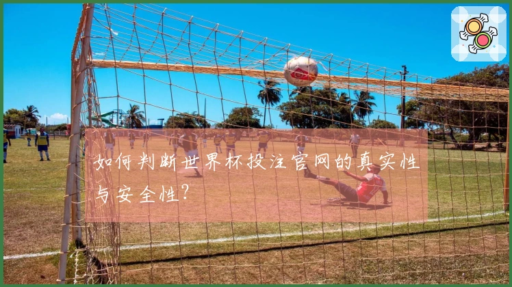 如何判断世界杯投注官网的真实性与安全性？