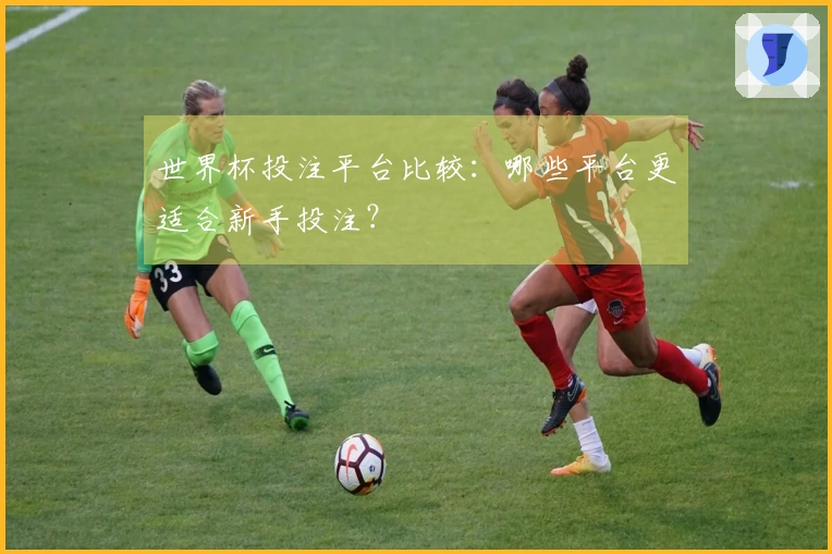 世界杯投注平台比较：哪些平台更适合新手投注？