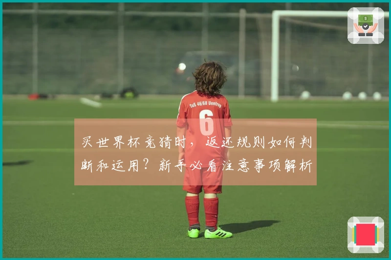 买世界杯竞猜时，返还规则如何判断和运用？新手必看注意事项解析