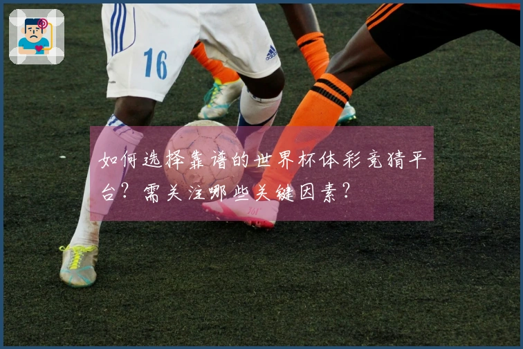 如何选择靠谱的世界杯体彩竞猜平台？需关注哪些关键因素？
