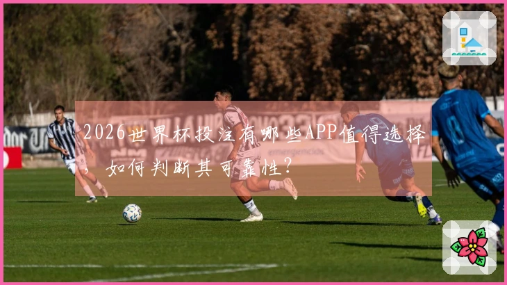 2026世界杯投注有哪些APP值得选择，如何判断其可靠性？